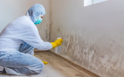 Wall and tile cleaning to remove mold and soap residue