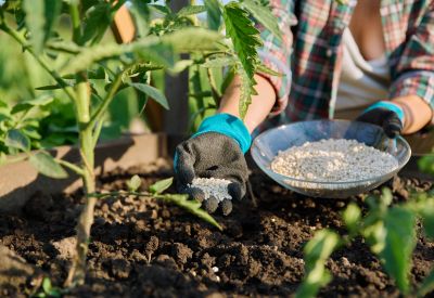 Fertilization & Soil Treatment