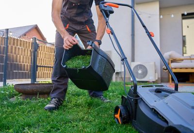 Lawn Care and Grass Cutting